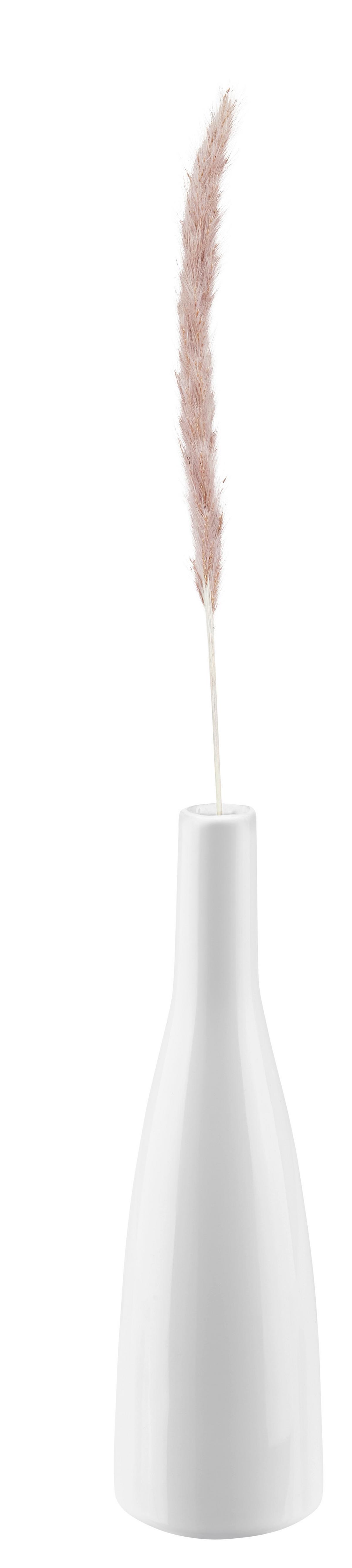 Vase Plancio in Weiss - Weiss, Modern, Keramik (5,5/20.5cm) - Modern Living