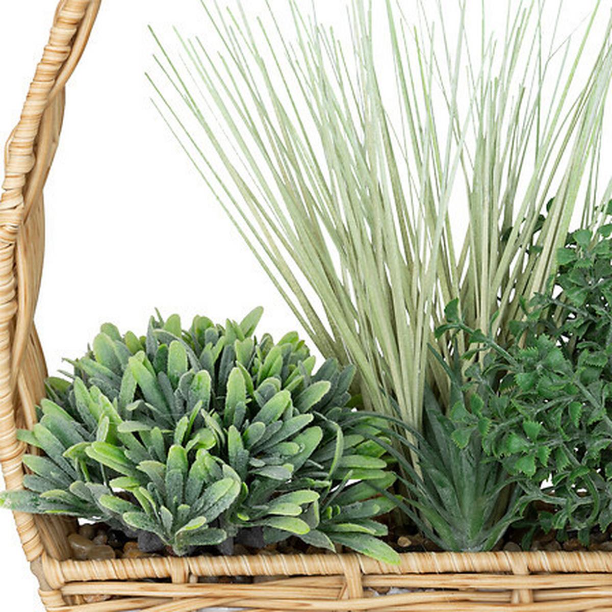 Plantă decorativă Garden - Basics (40cm)