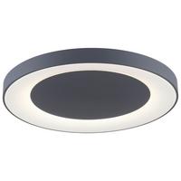 LED-Deckenleuchte Anika max. 54 Watt - Grau, Basics, Kunststoff/Metall