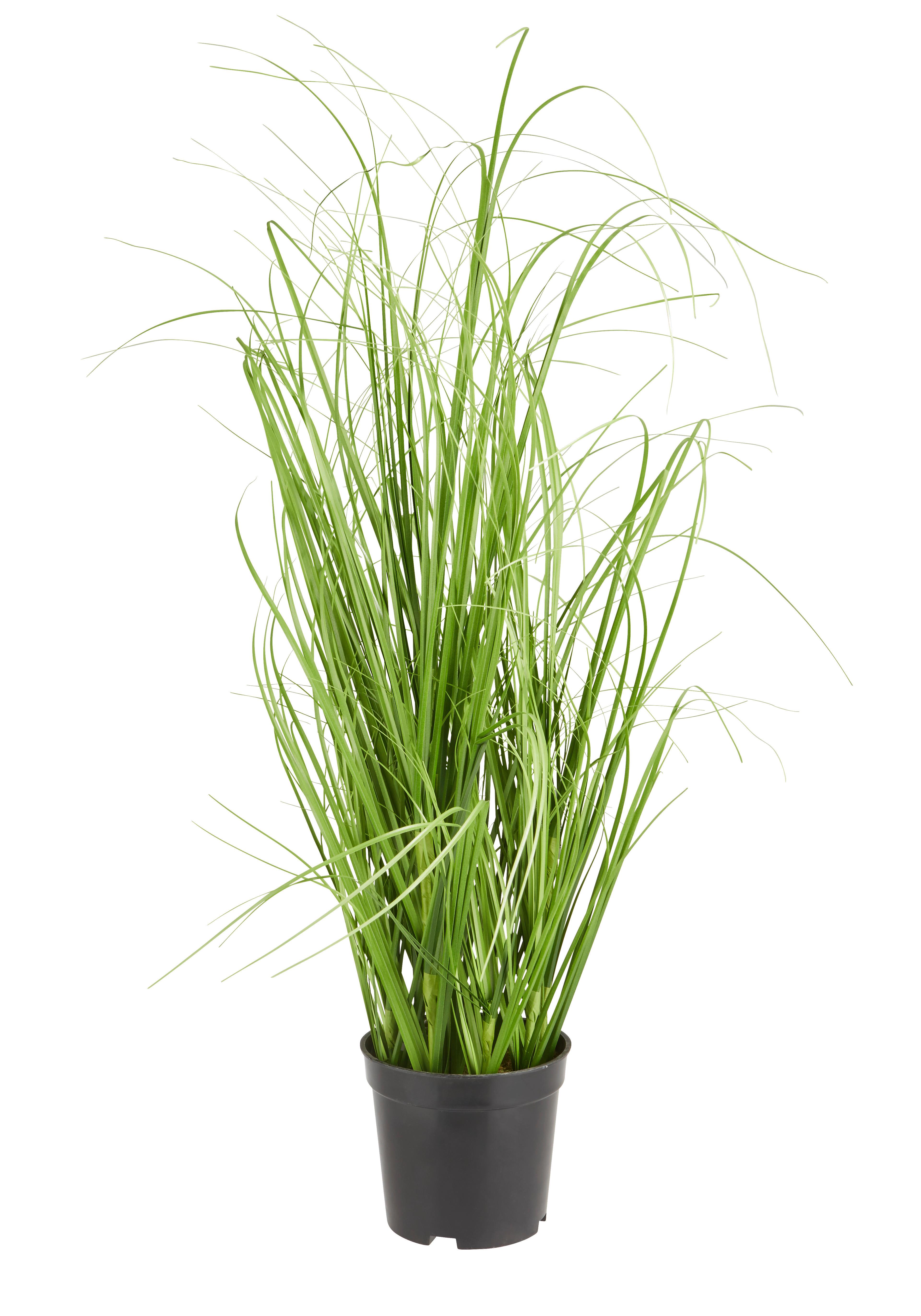 Mănunchi de iarbă Patrick - verde, textil (60cm) - Modern Living