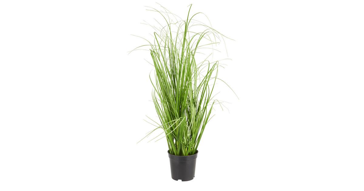 Grasbündel Patrick aus Polyester ca. 60cm online kaufen ➤ mömax