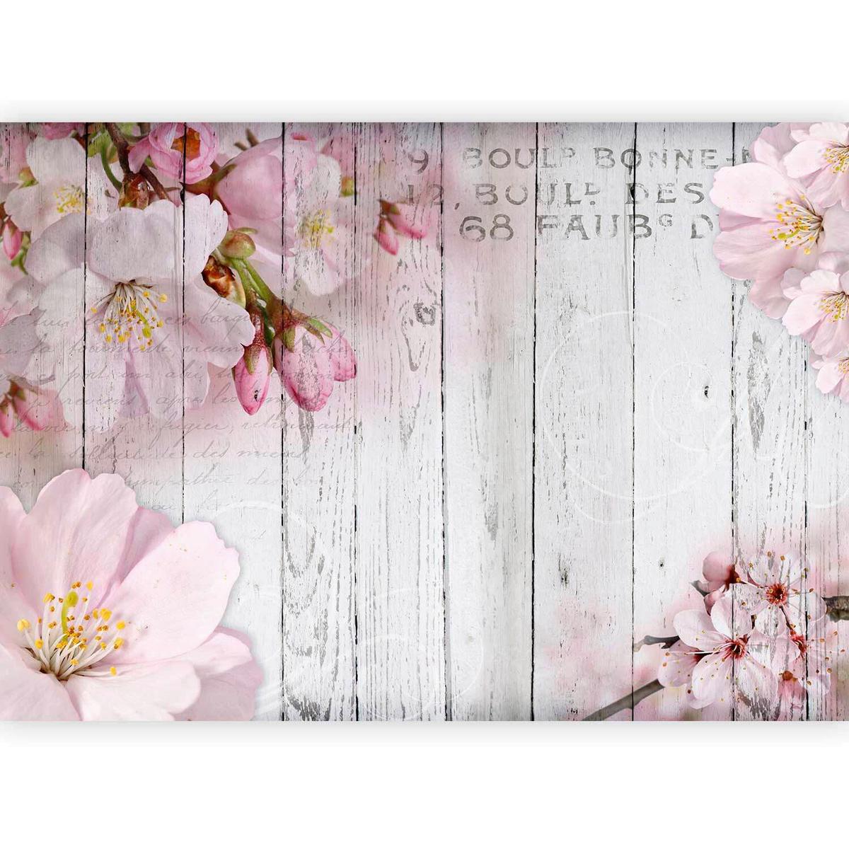 Fototapeta Apple Blossoms, 300x210cm - pink/svetlo siva, Basics, tekstil (300/210cm) - artgeist