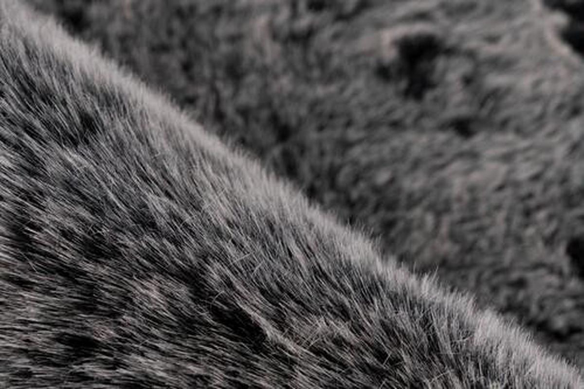 Hochflorteppich Tender - Anthrazit, Design, Textil (80/150cm) - Kayoom