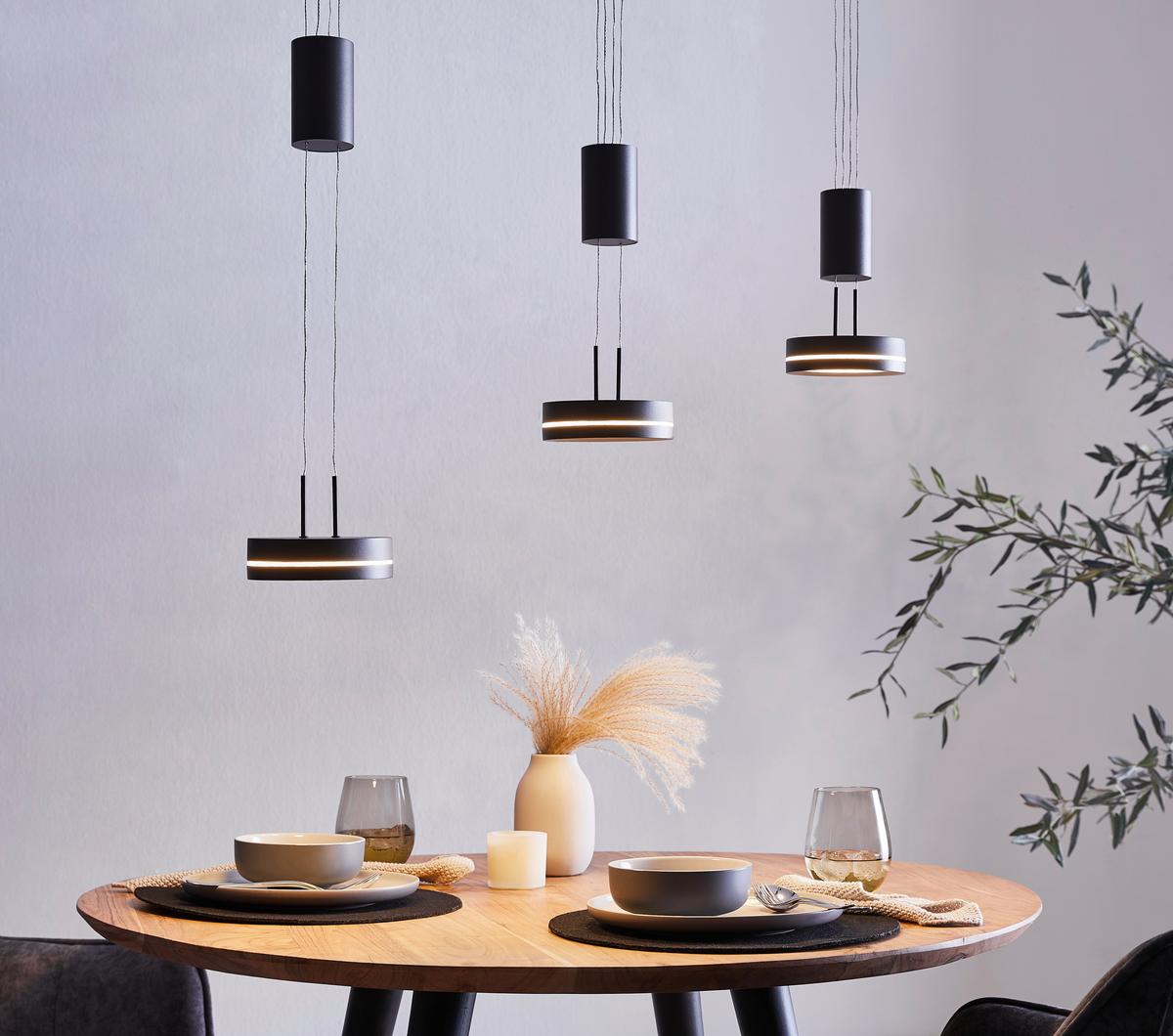 LAMPA WISZĄCA LED 326510342 FRANKLIN - antracytowy/biały, Lifestyle, tworzywo sztuczne/metal (85/14/180cm) - Trio Leuchten