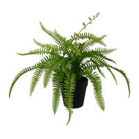 Plantă decorativă FARN II - verde, Basics, plastic (40cm) - Modern Living