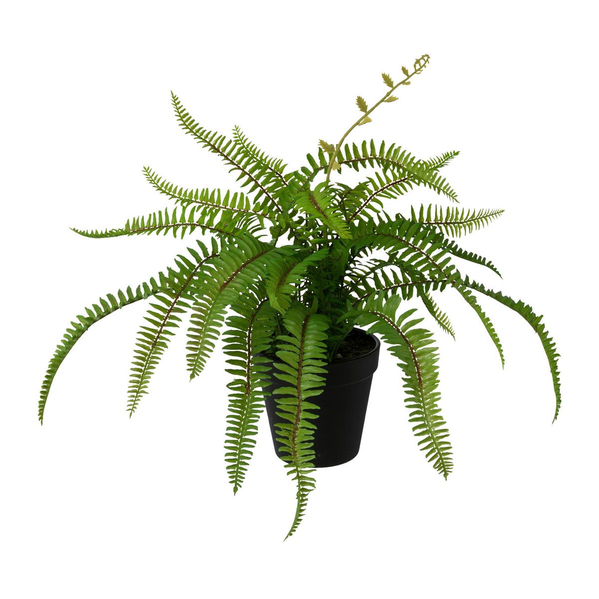 Plantă decorativă FARN II - verde, Basics, plastic (40cm) - Modern Living