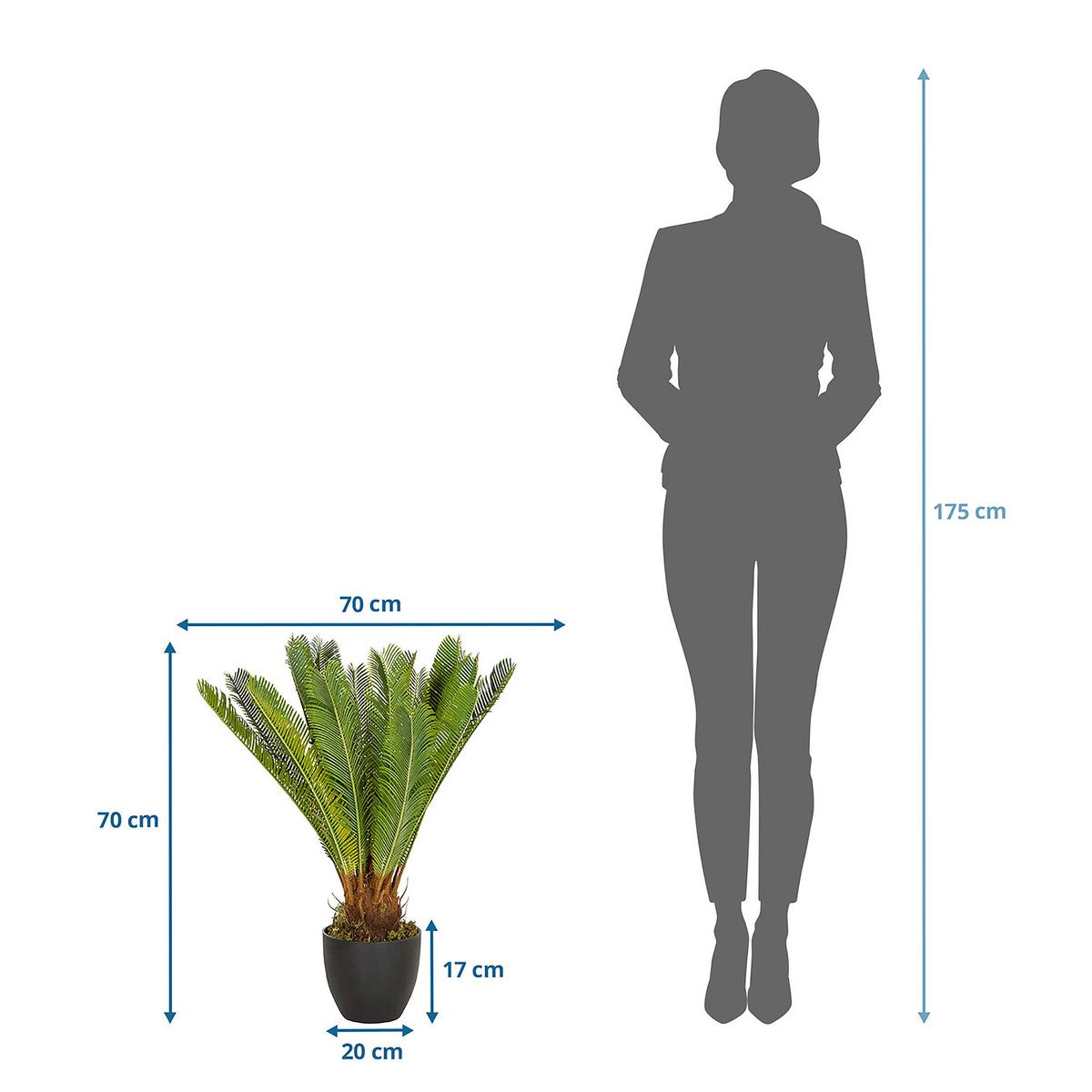 Umetna Rastlina Cycas - črna/zelena, Basics, umetna masa/tekstil (70/70/70cm) - MID.YOU