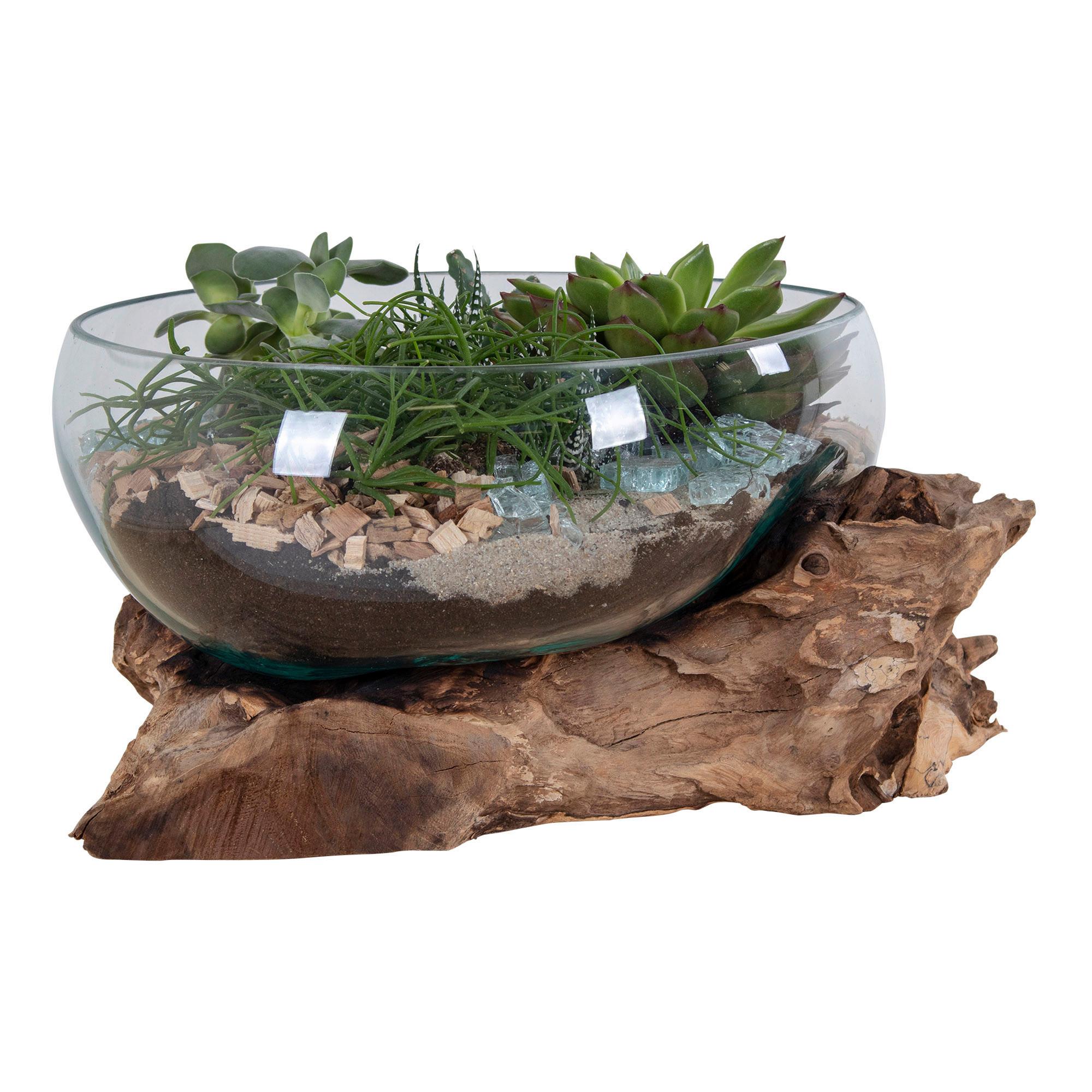 Dekoschale San Marino Klar/Teakfarben - Klar/Teakfarben, Basics, Glas/Holz (26/20cm)