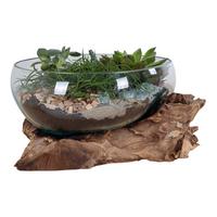 Dekoschale San Marino Klar/Teakfarben - Klar/Teakfarben, Basics, Glas/Holz (26/20cm)