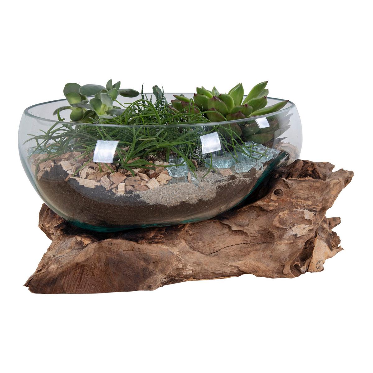 Dekoschale San Marino Klar/Teakfarben - Klar/Teakfarben, Basics, Glas/Holz (26/20cm)