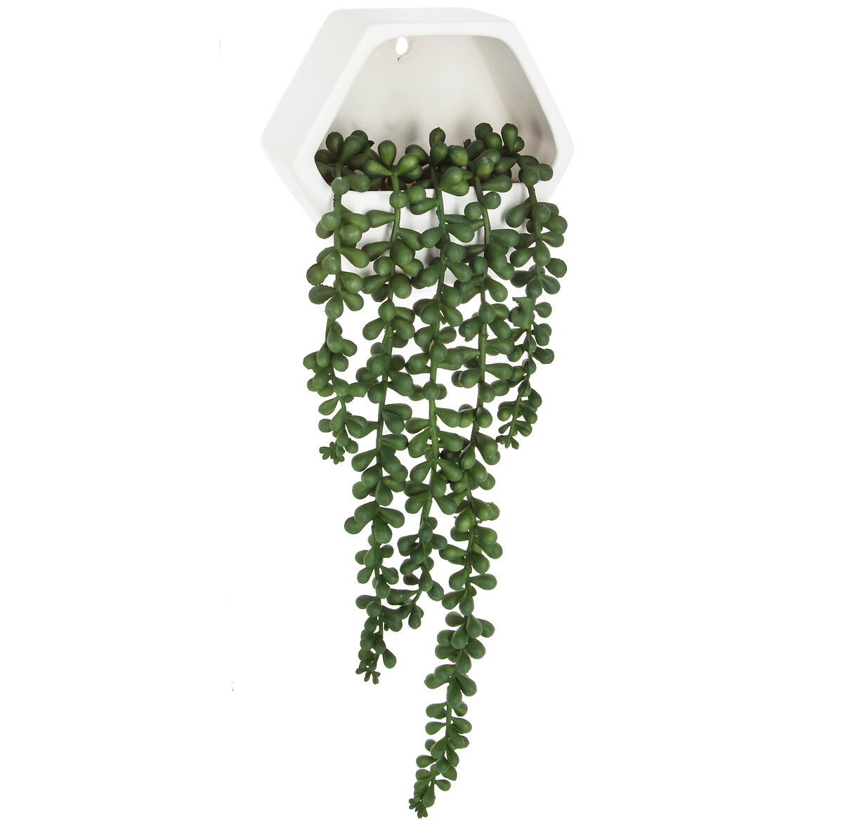 Plantă decorativă Contemp'home - Modern (14/12,2/5,5cm)