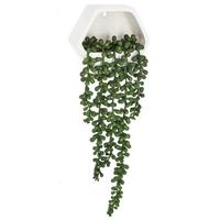Plantă decorativă Contemp'home - Modern (14/12,2/5,5cm)