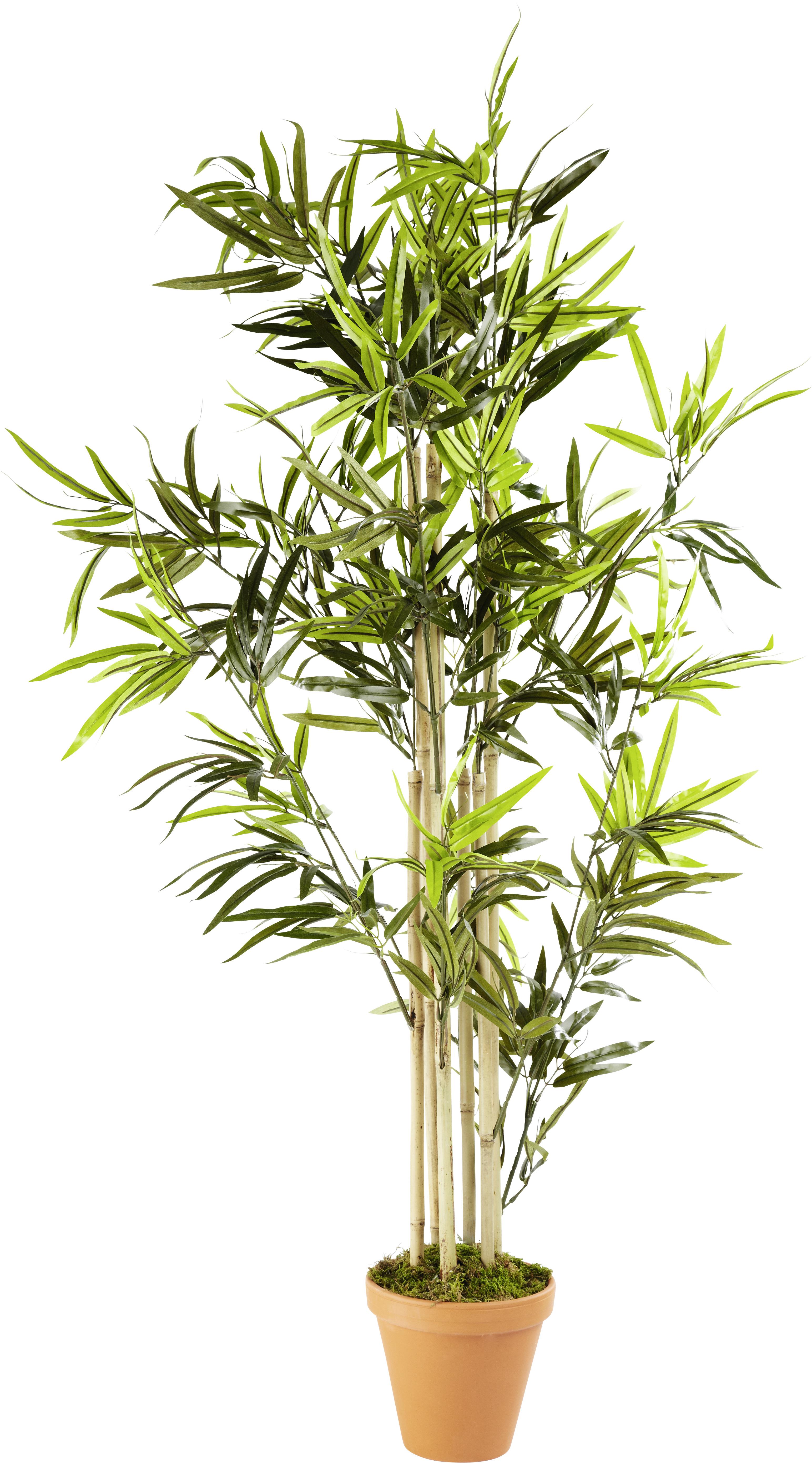 Kunstpflanze Bambus in Grün - Braun/Grün, Kunststoff (120cm) - Modern Living