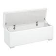 Klop S Skrinjo Universal Ii - bela/srebrna, umetna masa/leseni material (112/40/39cm) - Mömax modern living Klop S Skrinjo Universal Ii - bela/srebrna, umetna masa/leseni material (112/40/39cm) - Mömax modern living