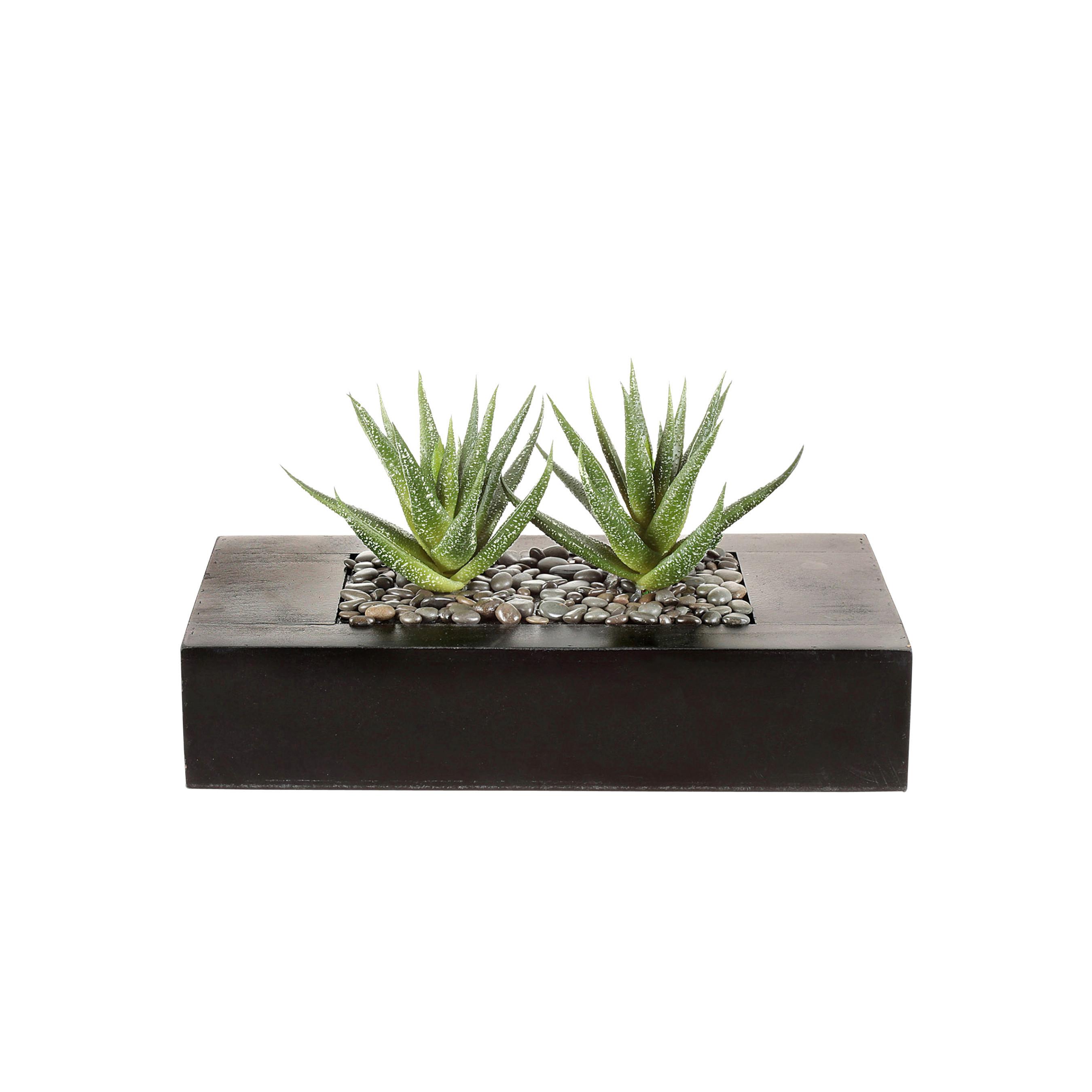 Kunstpflanze Sukkulenten Braun/Grün - Braun/Grün, Design, Holz/Kunststoff (14cm)
