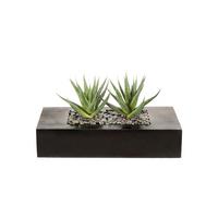 Kunstpflanze Sukkulenten Braun/Grün - Braun/Grün, Design, Holz/Kunststoff (14cm)