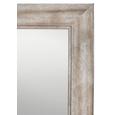 Wandspiegel ca. 66x186x2cm - Silberfarben/Nickelfarben, Holzwerkstoff (66/186cm) - MÖMAX modern living