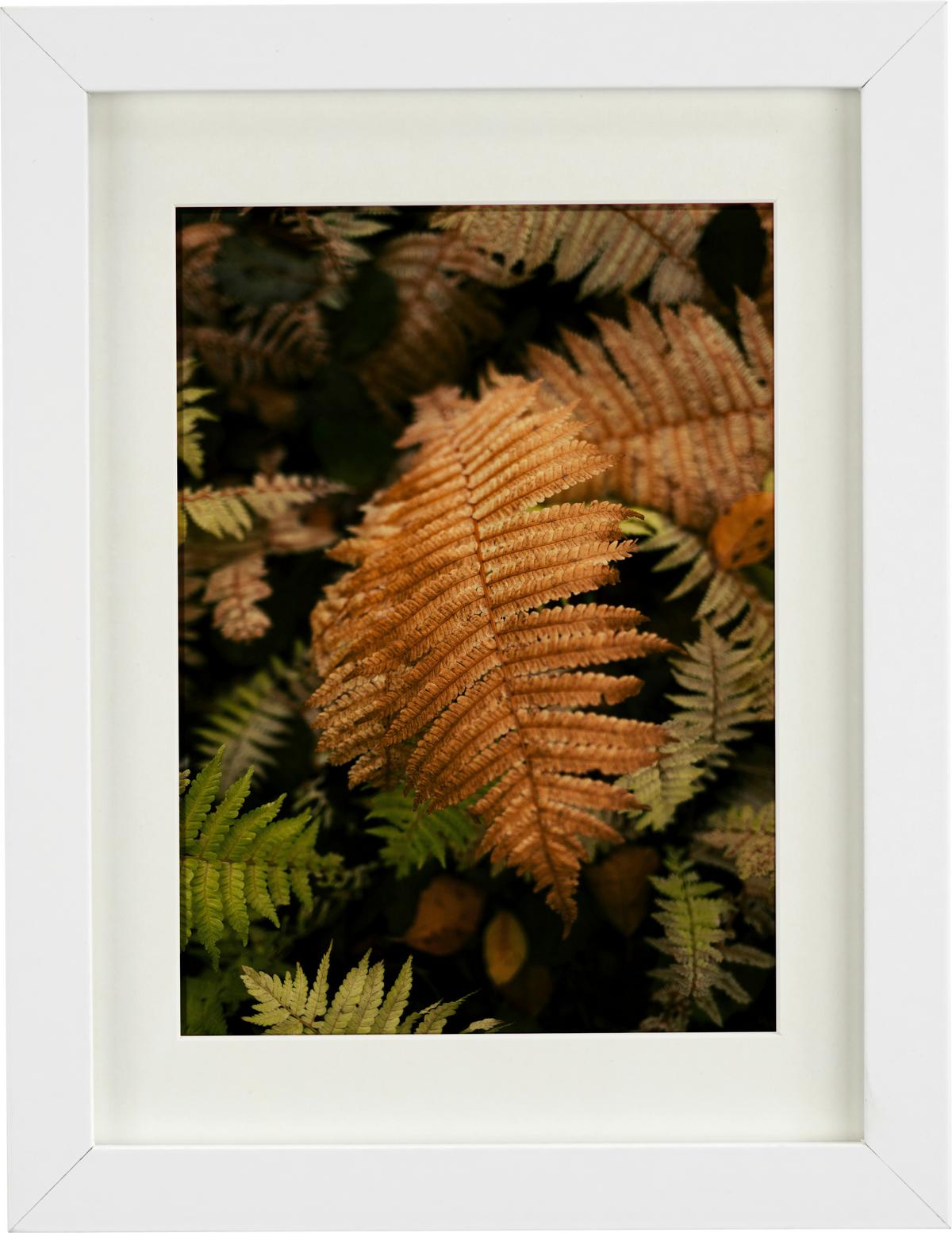 Bilderrahmen Gitta in Weiß ca. 40x50cm - Weiß, MODERN, Holzwerkstoff/Kunststoff (40/50cm) - Modern Living