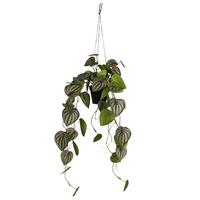 Umetna Rastlina Zwergpfeffer Ii - črna/zelena, Konvencionalno, umetna masa (85cm) - Mömax