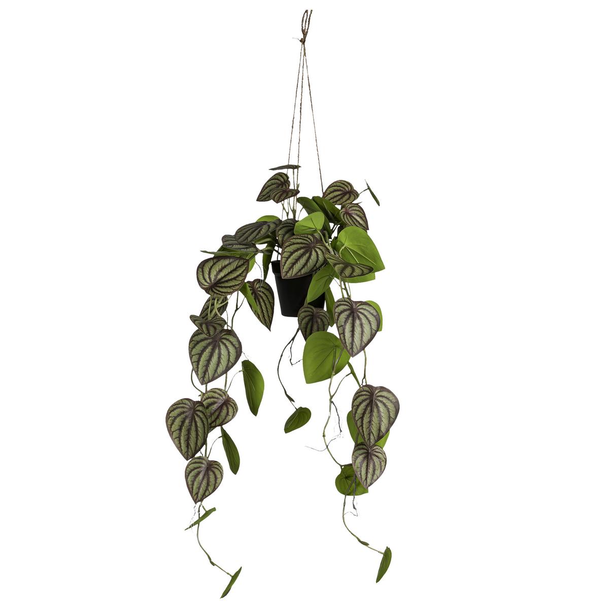 Umetna Rastlina Zwergpfeffer Ii - črna/zelena, Konvencionalno, umetna masa (85cm) - Mömax