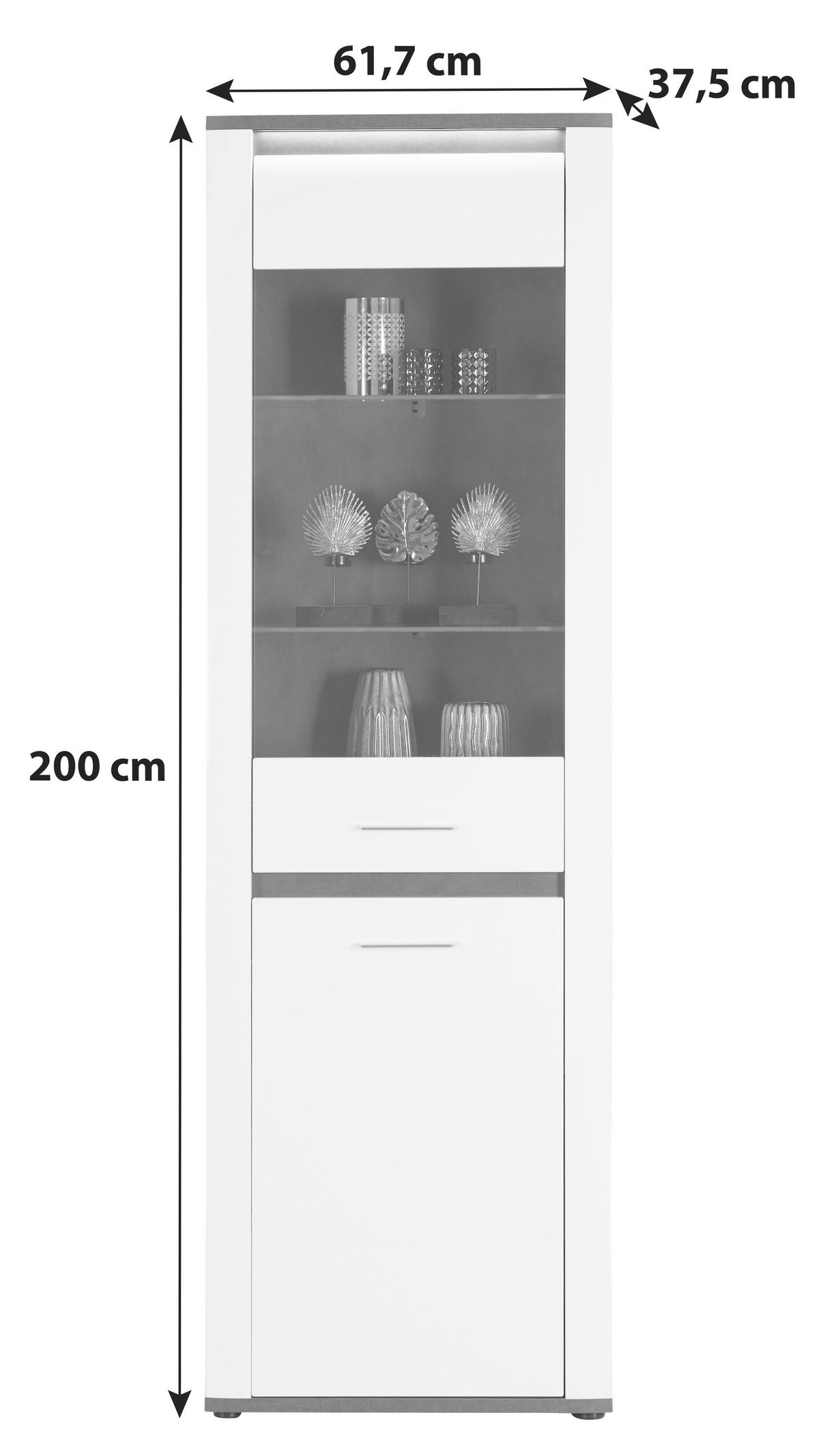 Vitrina Alassio - barve kroma/črna, Moderno, kovina/umetna masa (61,7/200/37,5cm) - Premium Living