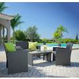 Lounge Garnitura Michelle 1 - temno siva/siva, kovina/umetna masa - MÖMAX modern living