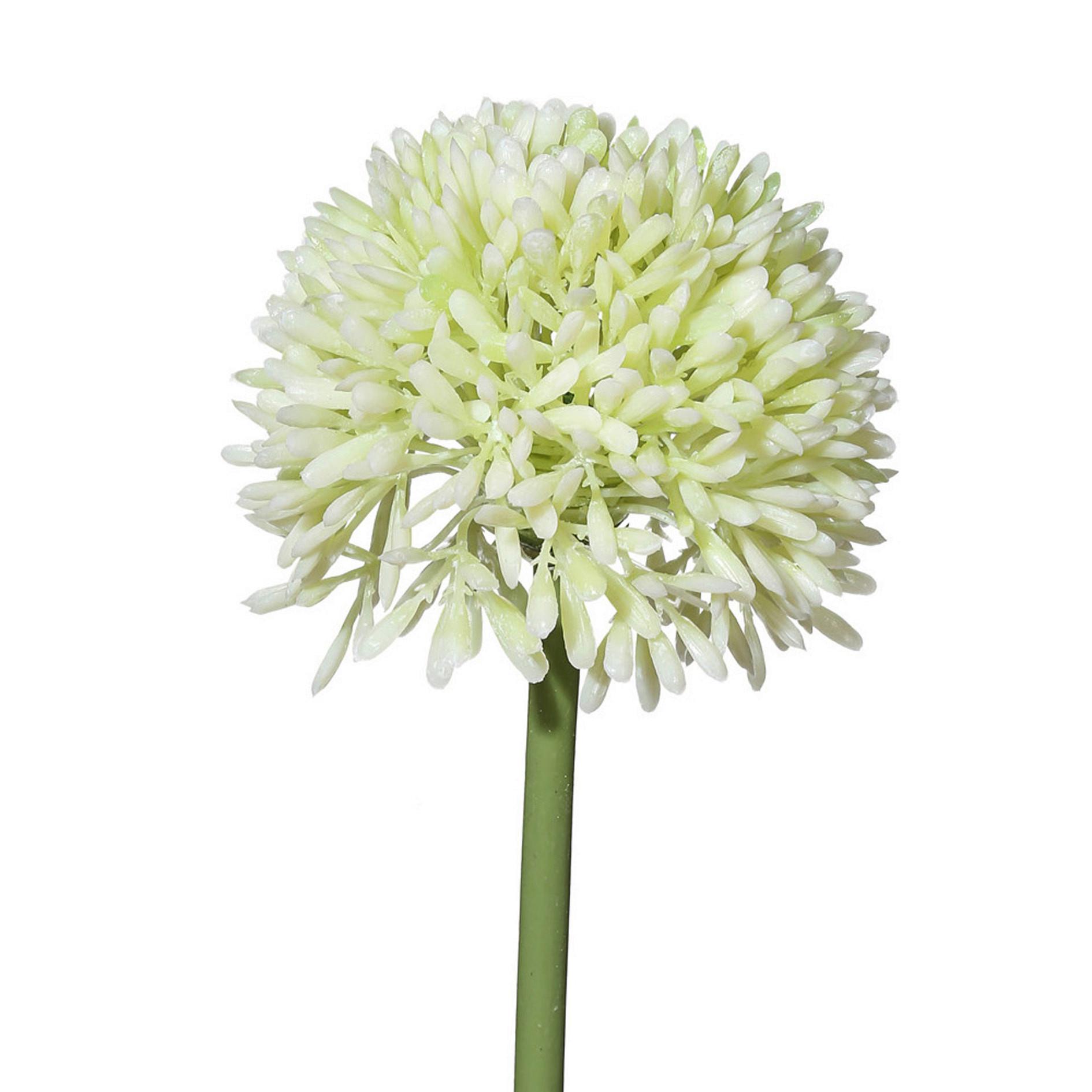 Kusntpflanze Allium I Weiß/Grün - Weiß/Grün, Basics, Kunststoff (44cm)