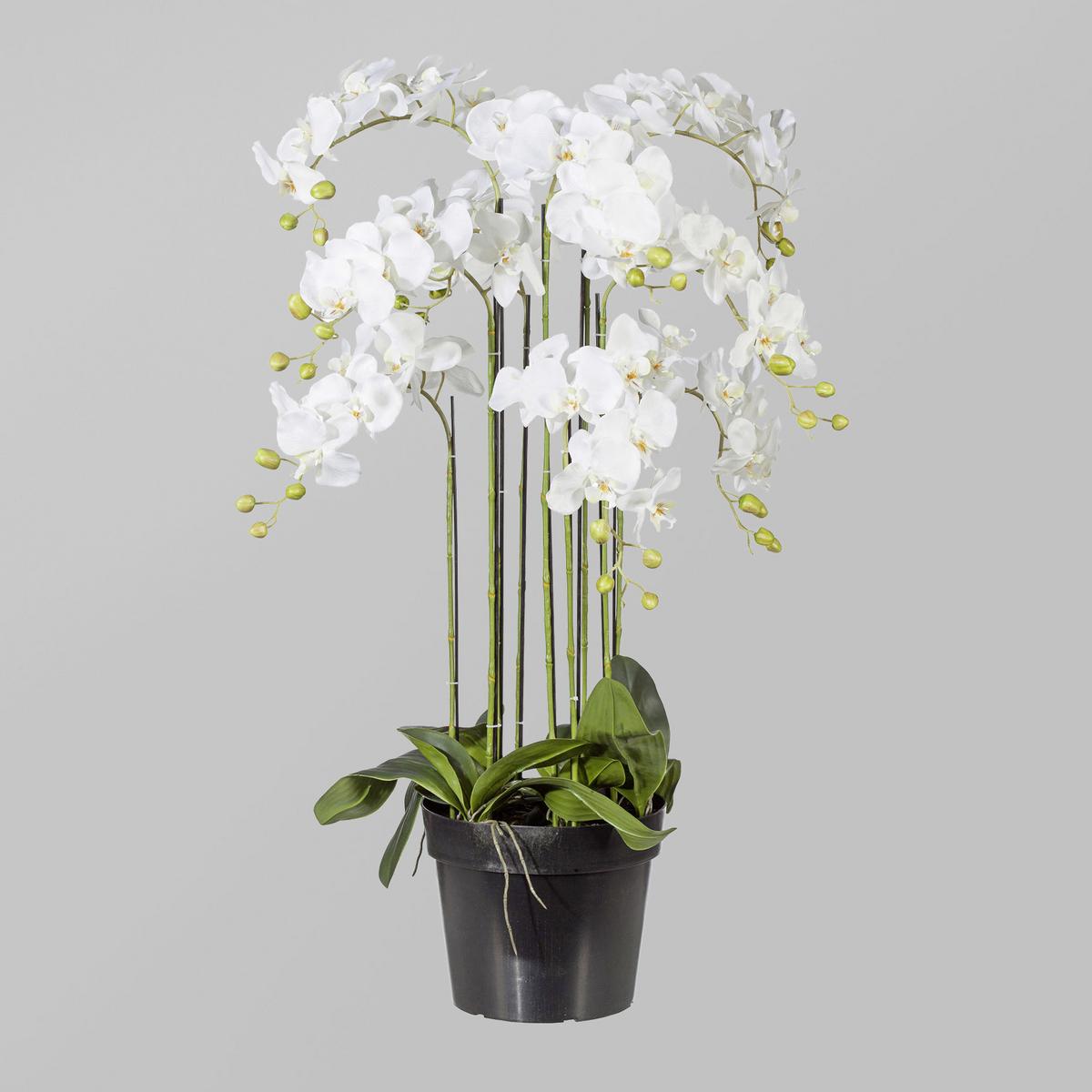 Kunstblume Orchidee ca. 90cm - Weiß/Grün, Basics, Kunststoff (90cm) - P & B
