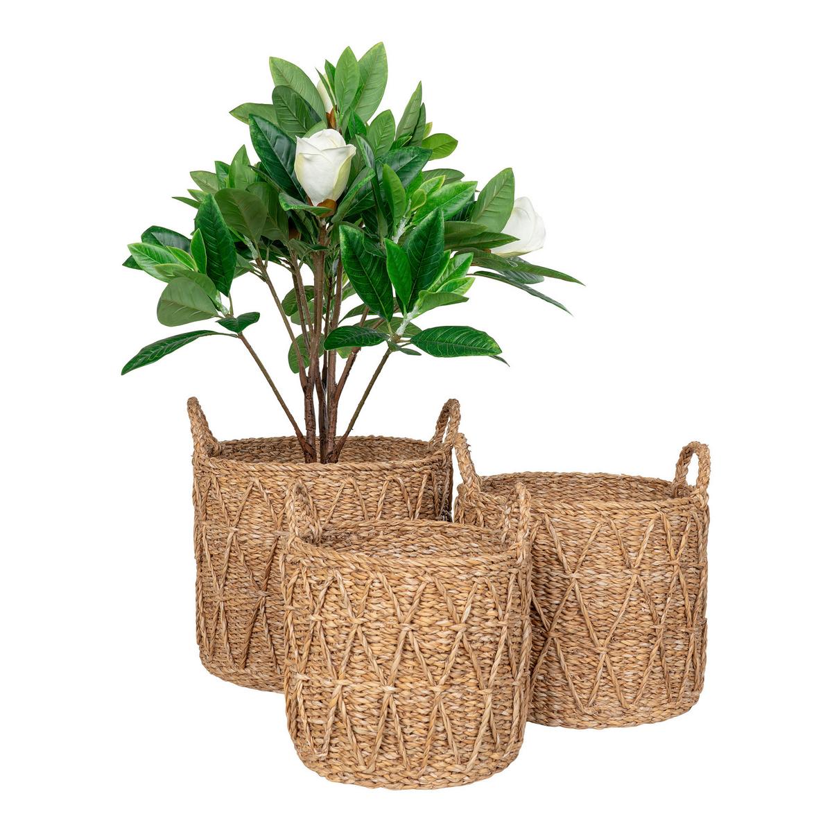 Korbset Krabi Baskets Naturfarben, 3-teilig - Naturfarben, Design, Naturmaterialien