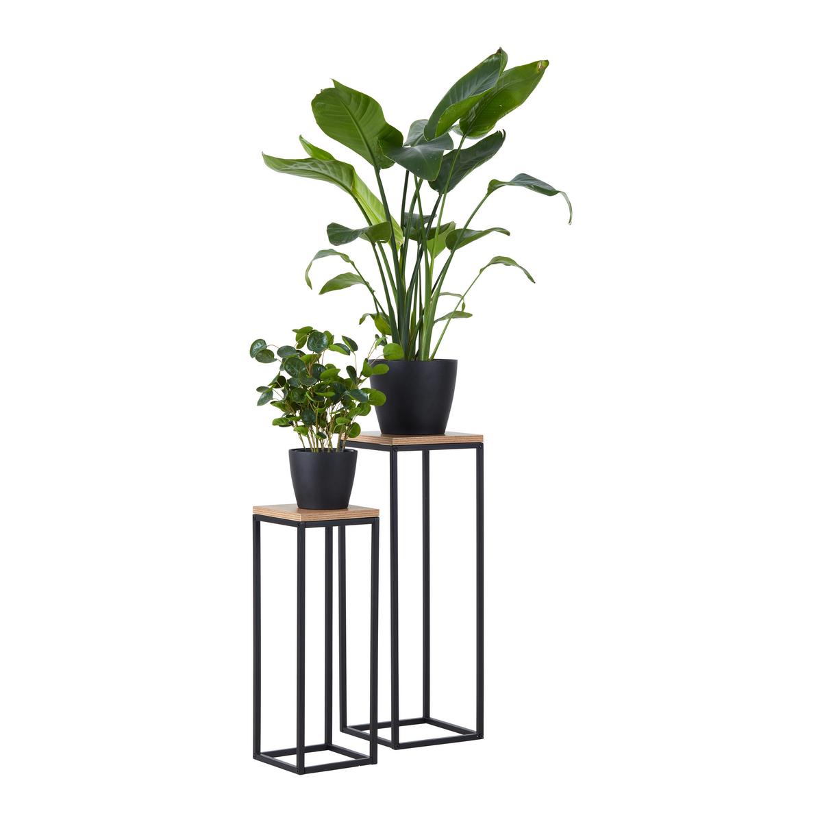 Blumensäulen-Set Watford in Schwarz/Eichefarben - Eichefarben/Schwarz, Modern, Holzwerkstoff/Metall (19-23/54-67/19-23cm) - Mömax