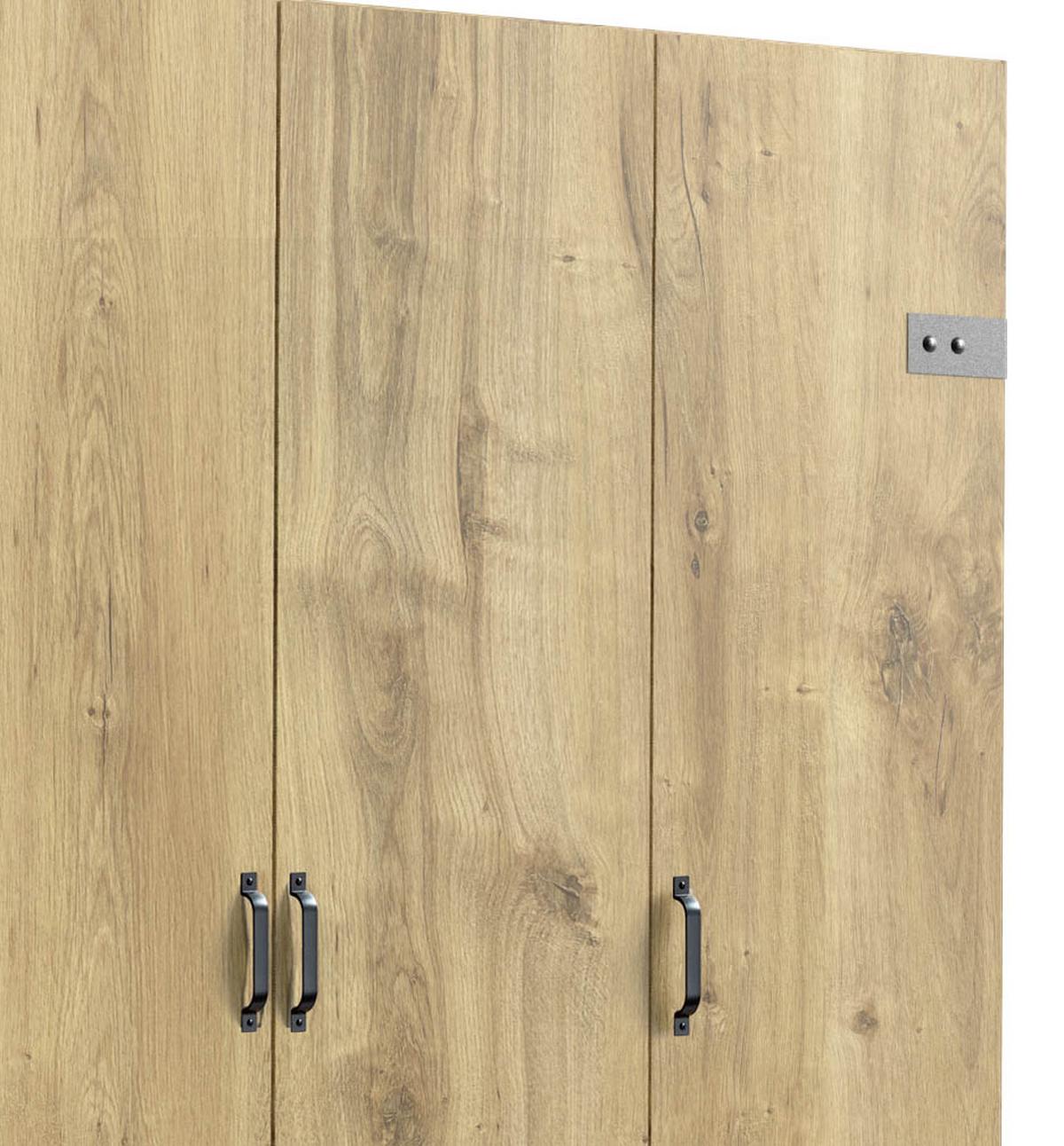 Ormar S Klasičnim Vratima Detroit - boje grafita/boje hrasta, Basics, drvni materijal/metal (250/216/58cm) - Modern Living