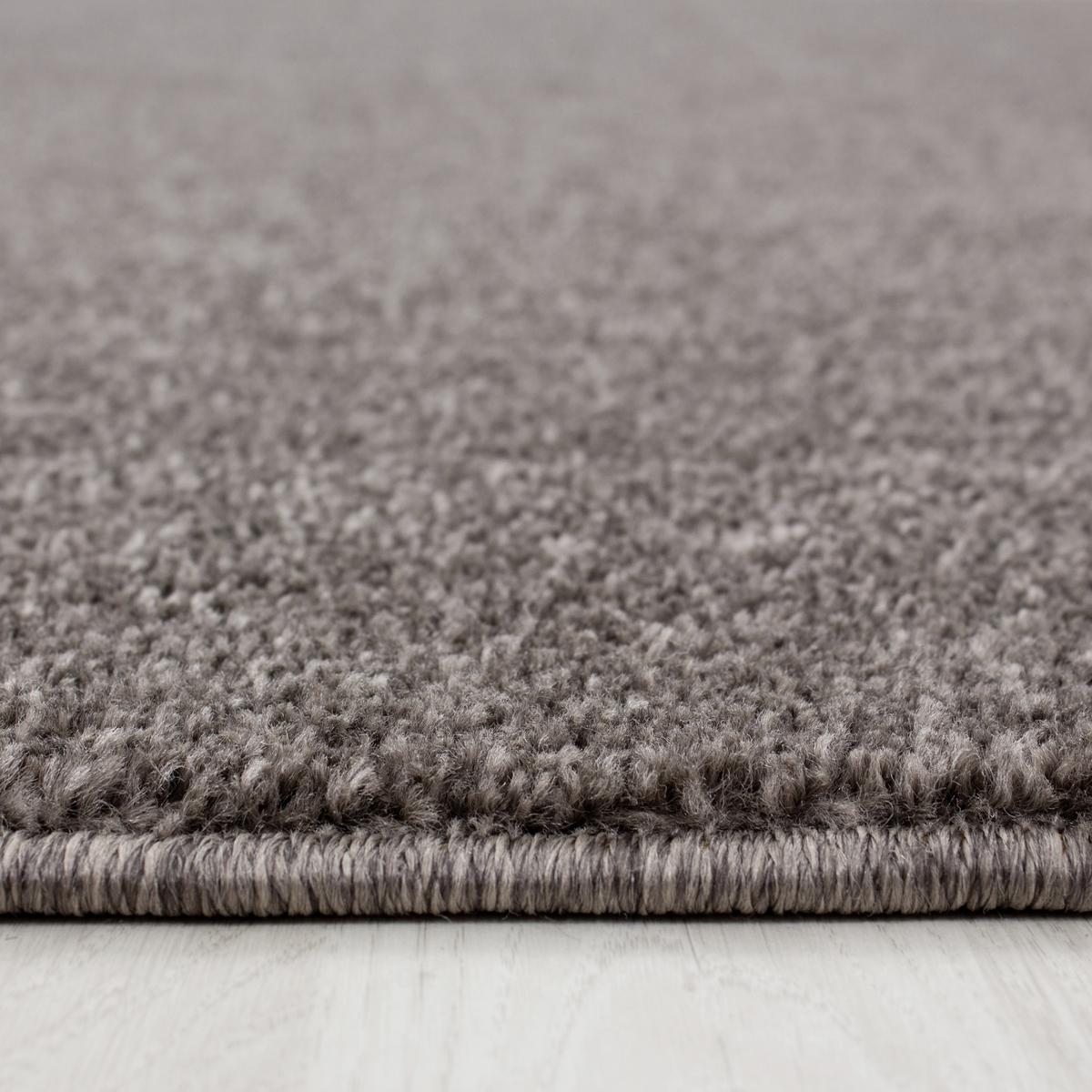 Hochflorteppich Ata 700 Hellbraun ca. 280x370cm - Hellbraun, Design, Textil (280/370cm) - Novel