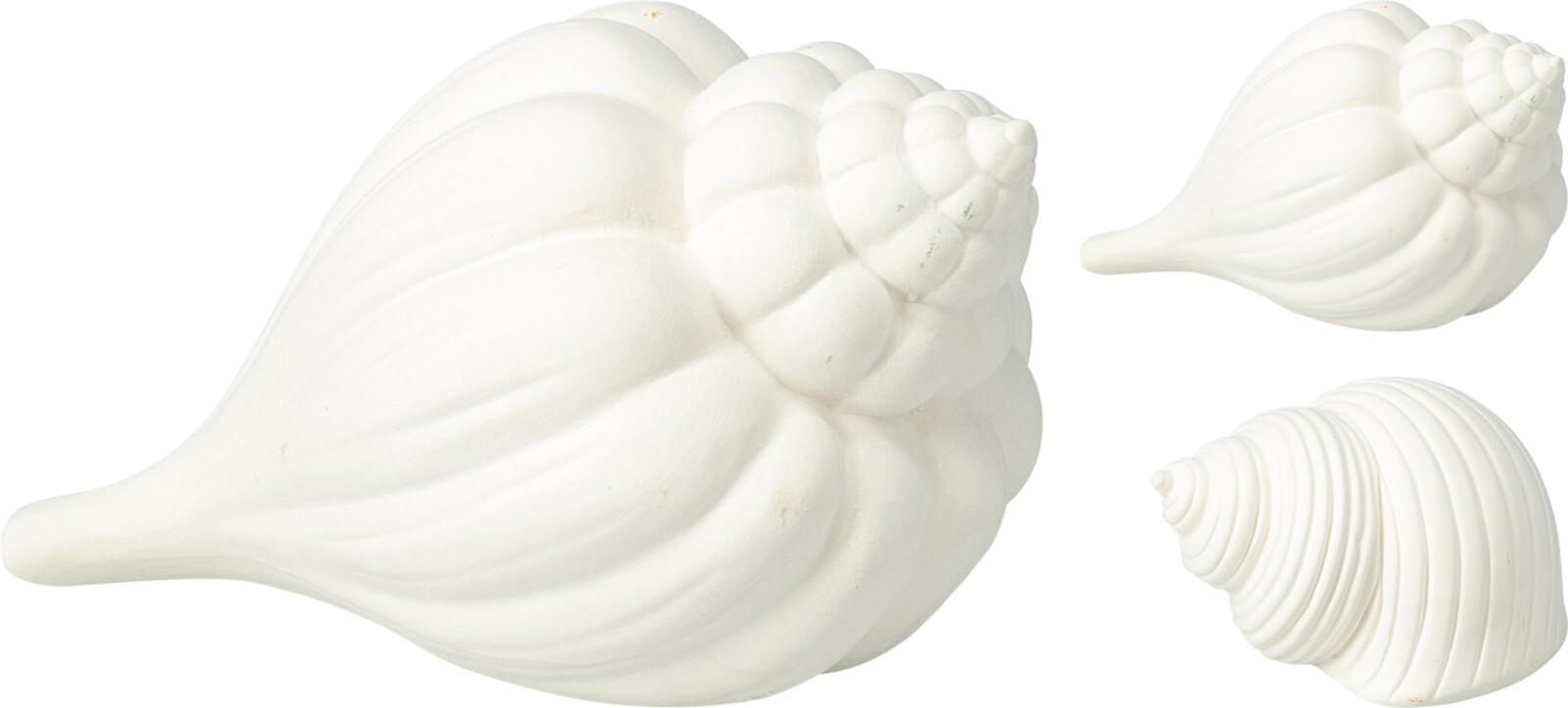 Dekorativna Školjka Shell - Moderno