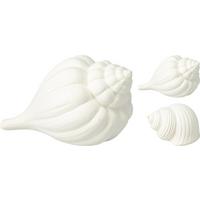 Dekorativna Školjka Shell - Moderno