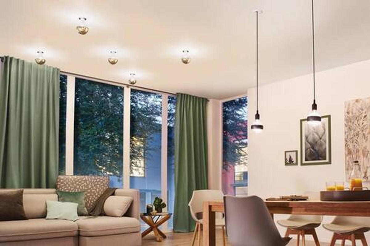 LED-Leuchtmittel 28675 max. 6,5 Watt - Klar/Goldfarben, Basics, Glas (13,8cm) - Paulmann