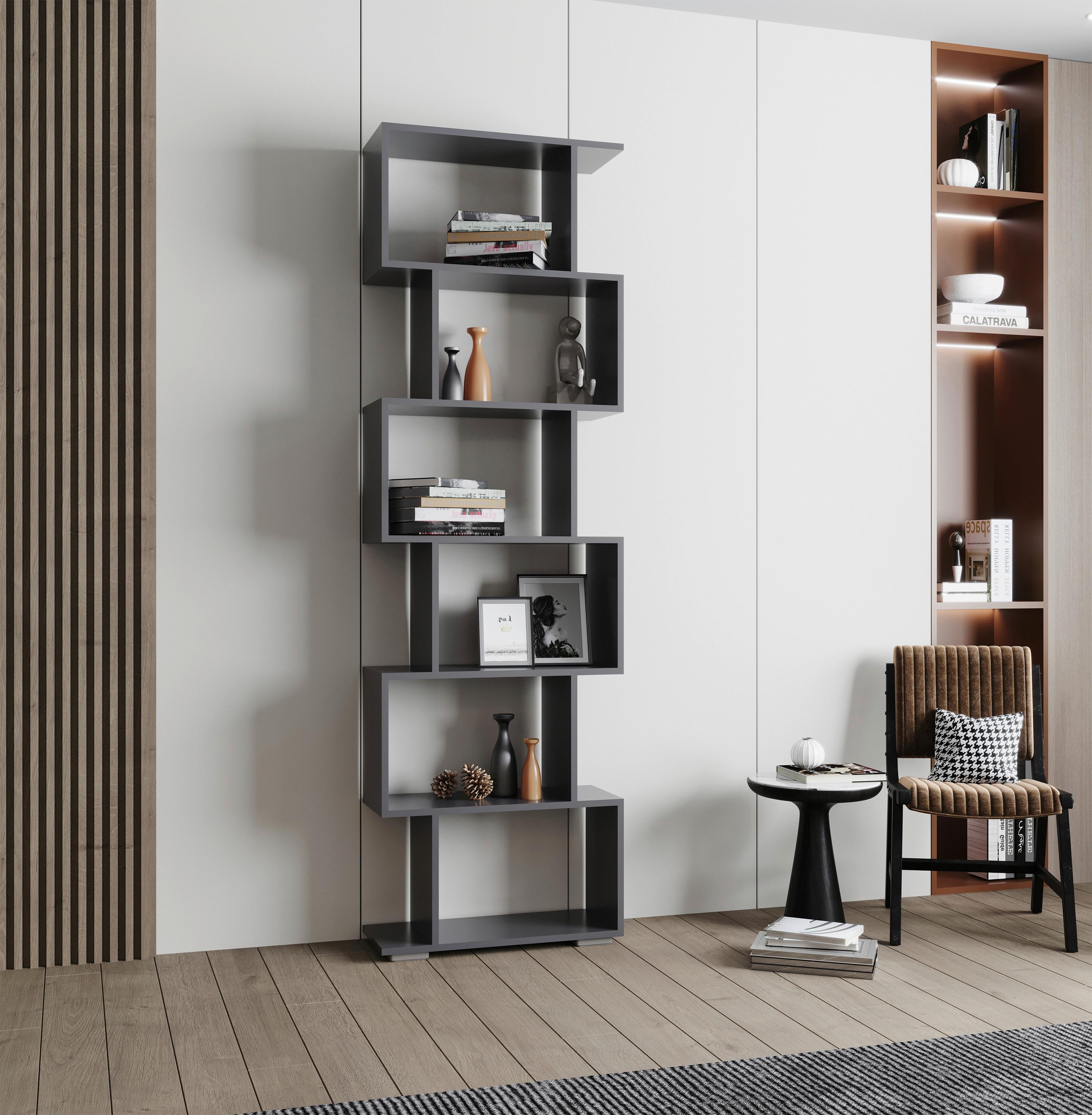 REGAL PALUSA L - Anthrazit/Silberfarben, Design, Holzwerkstoff/Kunststoff (60/196/24cm) - MID.YOU