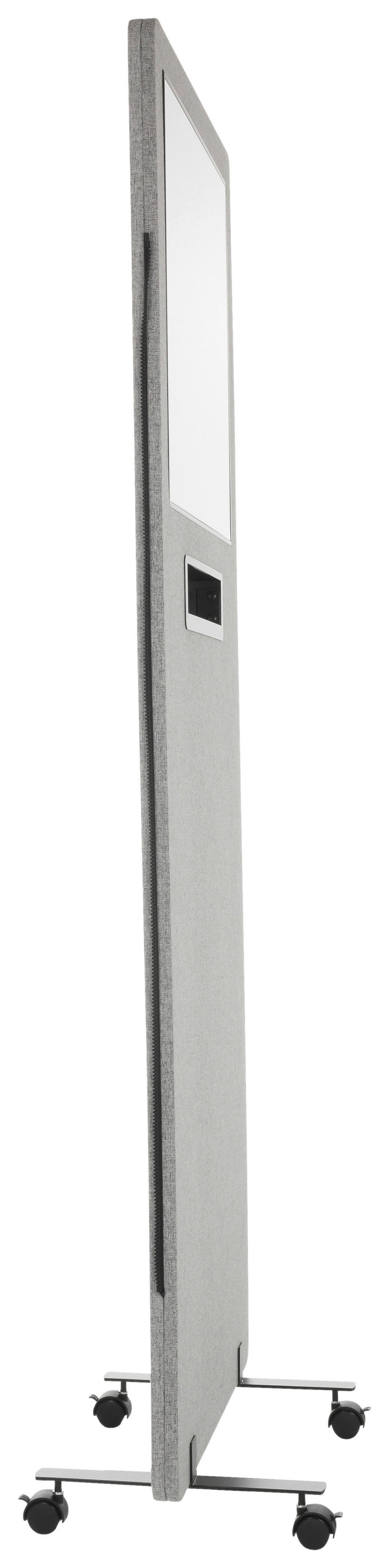 Pregradna Stena Flexmiut, Svetlo Siva - prozorno/svetlo siva, Basics, kovina/umetna masa (60/177/3cm) - MID.YOU