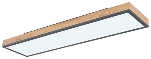Deckenleuchte Doro in Graphitfarben max. 24Watt - Opal/Graphitfarben, Basics, Kunststoff/Metall (80/20cm) - Globo