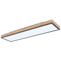 Deckenleuchte Doro in Graphitfarben max. 24Watt - Opal/Graphitfarben, Basics, Kunststoff/Metall (80/20cm) - Globo