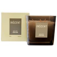 DUFTKERZE GREEN LILY - Klar/Dunkelgrün, Design, Glas (10/10/10cm) - Inscent