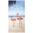 Strandtuch Holiday 70x140cm - Multicolor, Textil (70/140/cm) - Mömax modern living Strandtuch Holiday 70x140cm - Multicolor, Textil (70/140/cm) - Mömax modern living