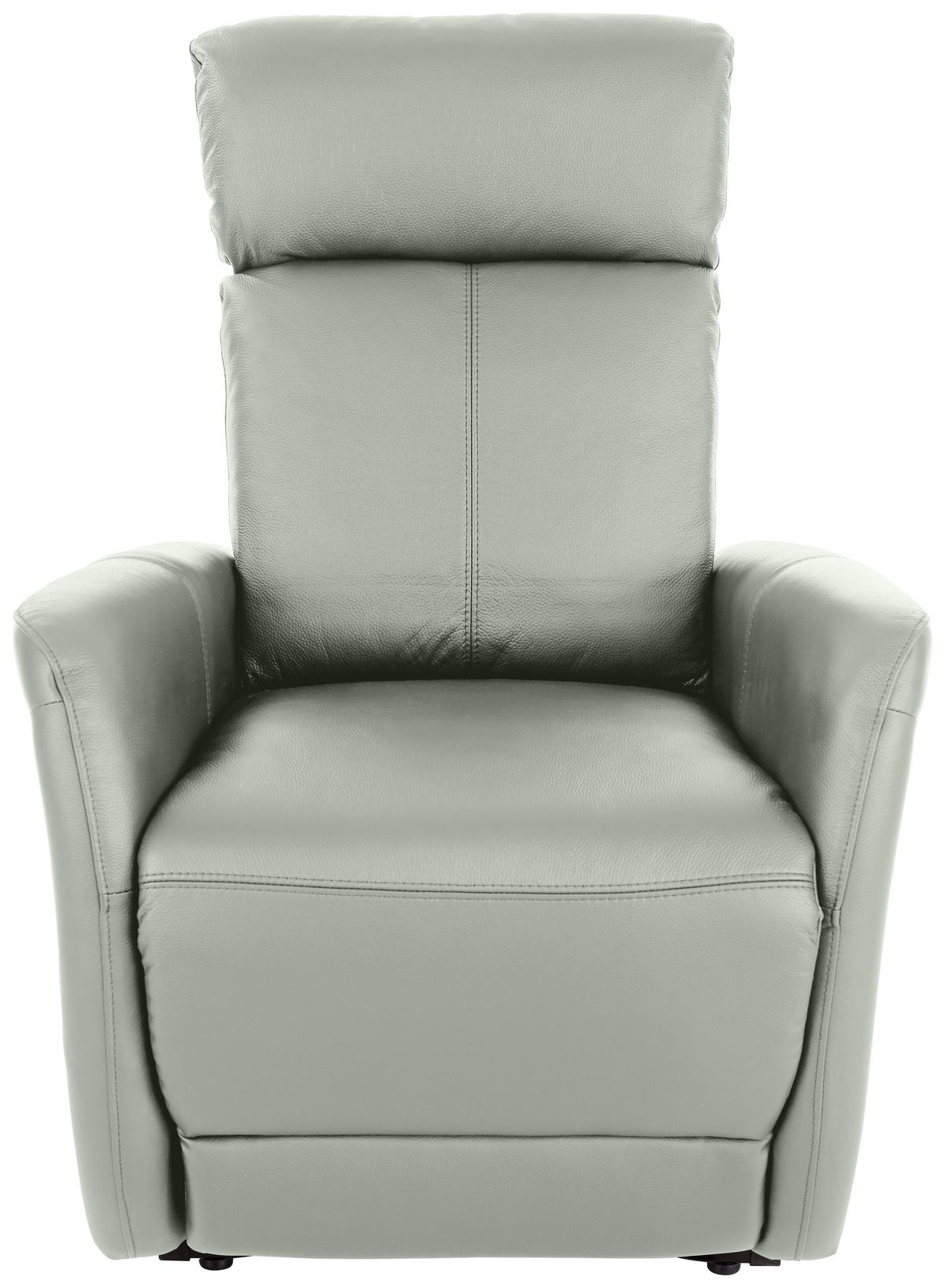 Tv Fotelj Hamilton, Usnje, Siva - črna/svetlo siva, Konvencionalno, kovina/umetna masa (90/108/74cm) - Modern Living