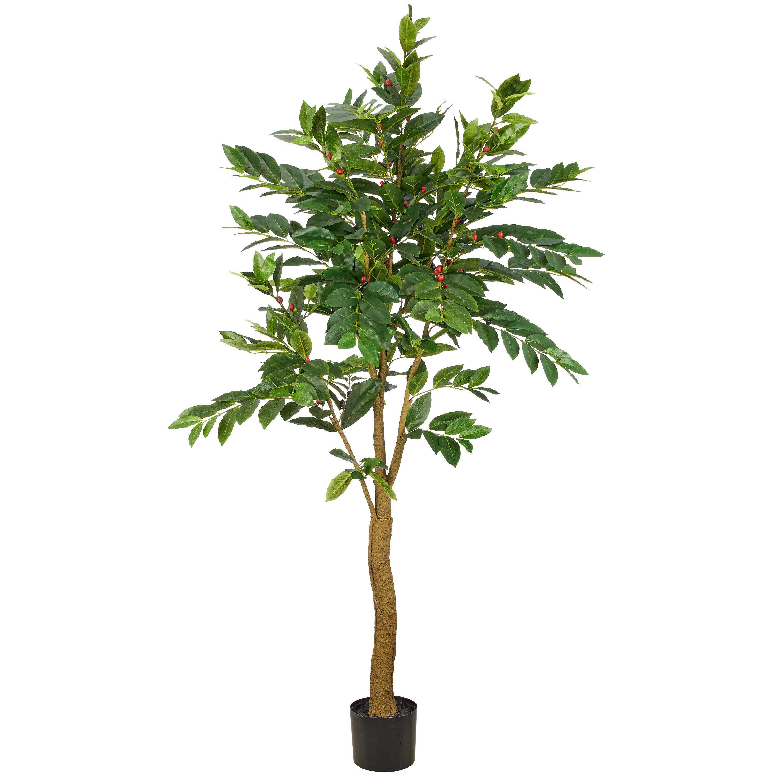 Kunstpflanze Coffea Baum Grün/Braun - Schwarz/Braun, Basics, Kunststoff (180cm)