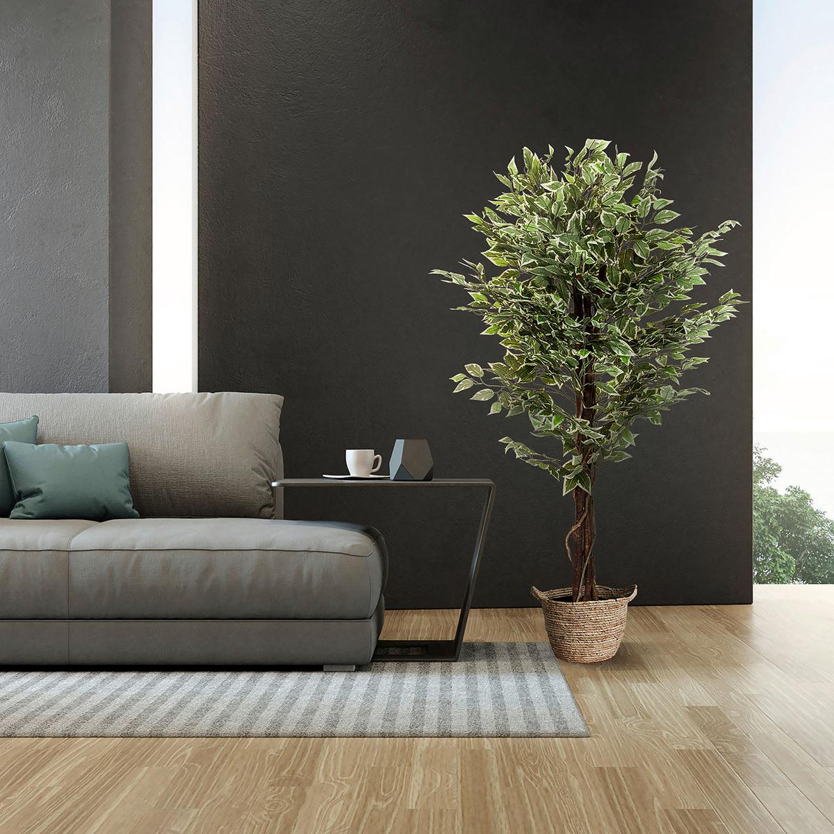 Umetna Rastlina Ficus - črna/zelena, Basics, umetna masa (80/165/80cm) - MID.YOU