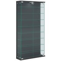 VITRINE RELAS L - Transparent/Anthrazit, Design, Glas/Holzwerkstoff (59/114/17cm) - MID.YOU