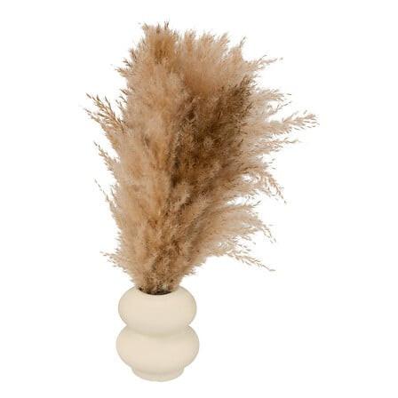 Floare decorativă Glen - Basics (10/42/10cm)