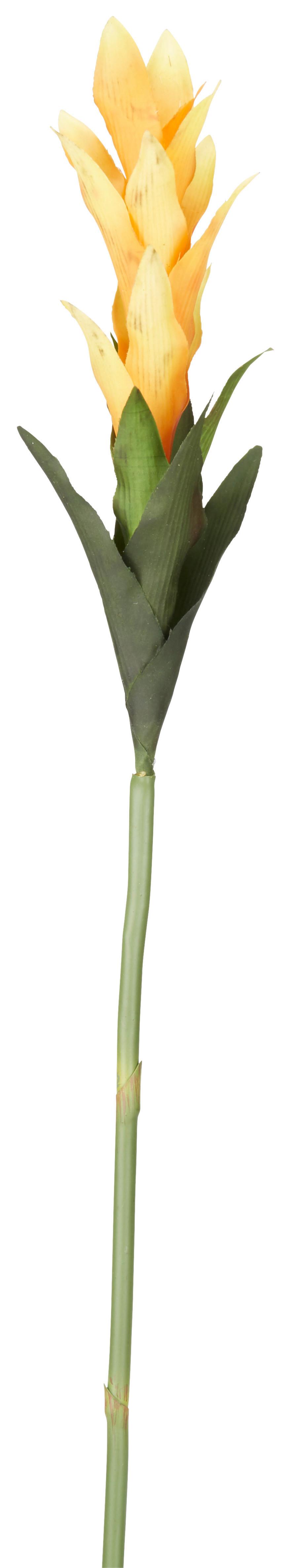 Umjetno Cvijeće Curcumablüte I - zelena/žuta, Basics, plastika (65cm)