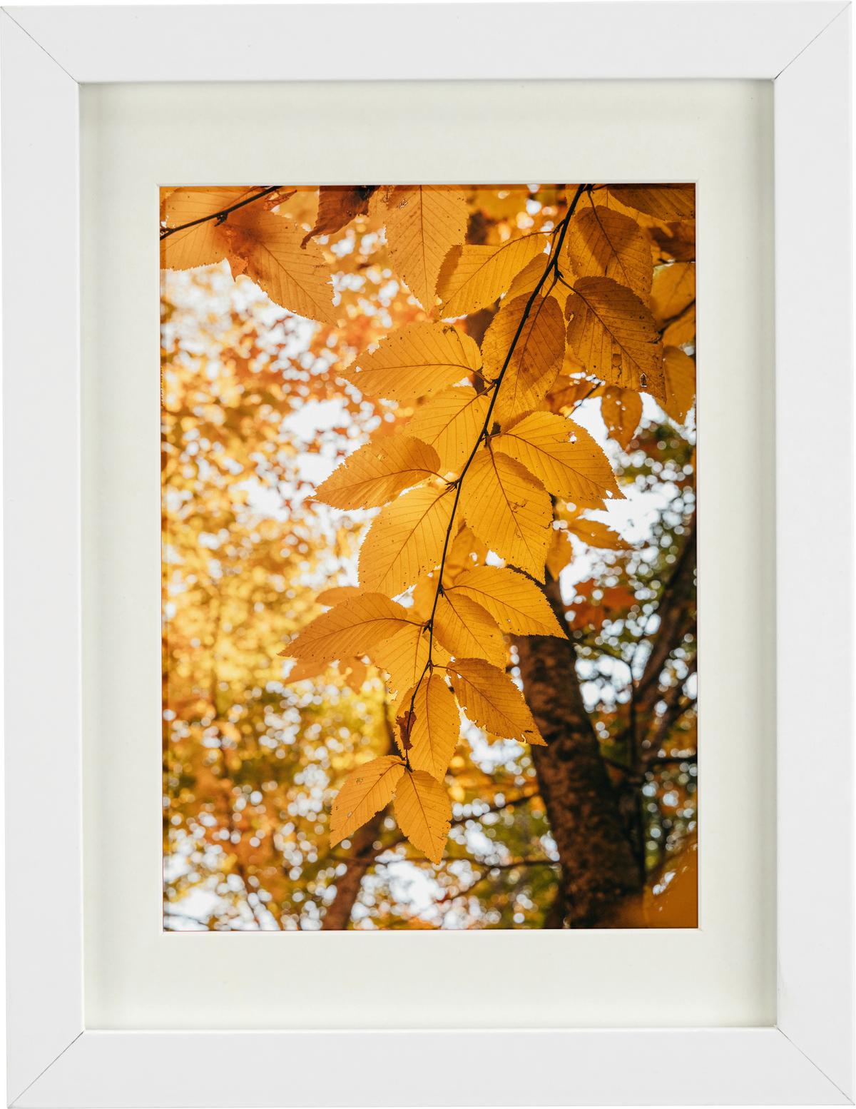 Bilderrahmen Gitta in Weiß ca. 18x24cm - Weiß, MODERN, Glas/Holzwerkstoff (18/24cm) - Modern Living