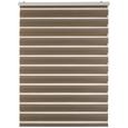 Rulou Zebră Thomas - taupe, plastic/textil (120/160cm) - Premium Living Rulou Zebră Thomas - taupe, plastic/textil (120/160cm) - Premium Living