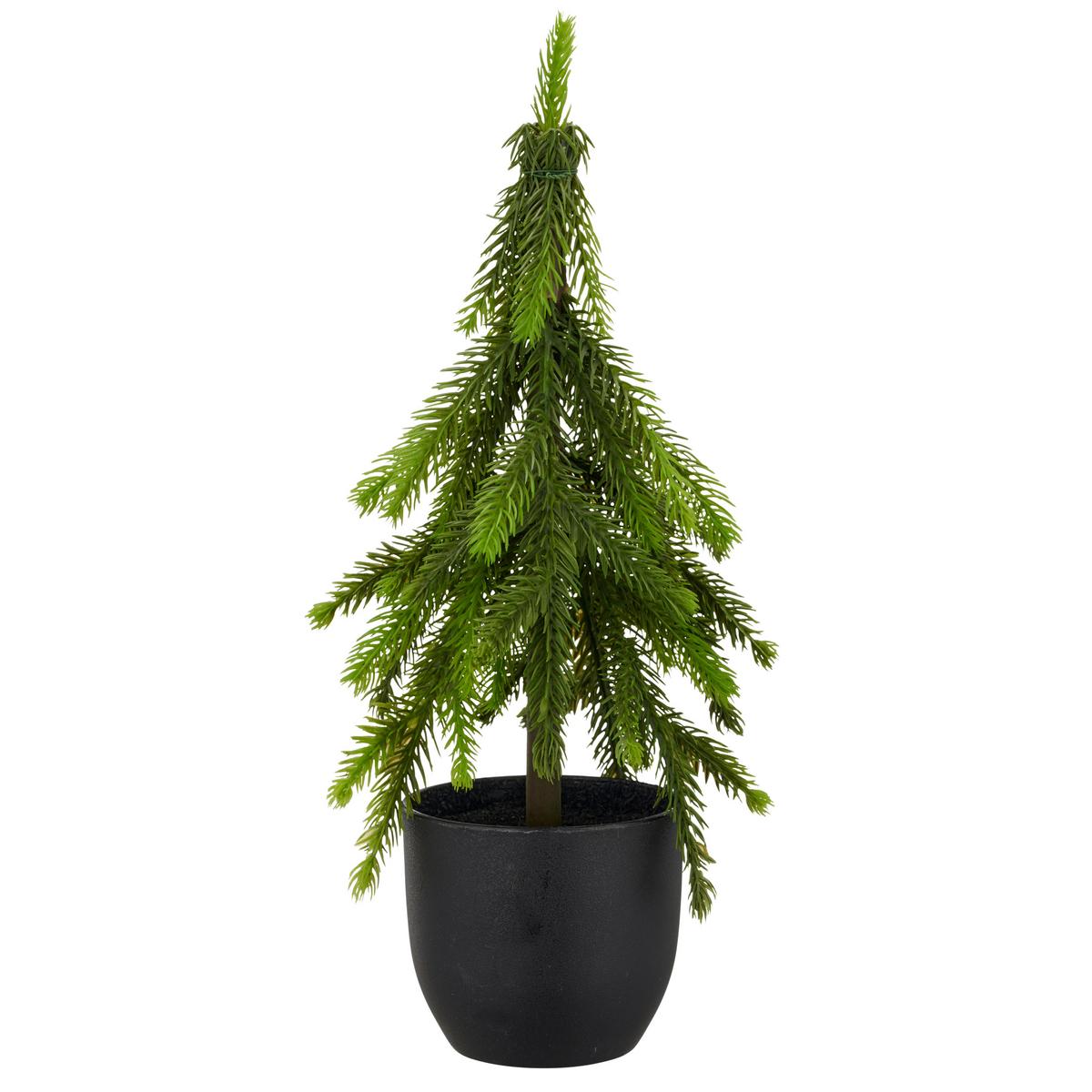 Umetna Rastlina Tanne I - zelena, Basics, umetna masa (37cm) - Mömax